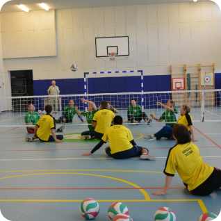 Волейбол сидя