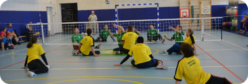 Волейбол сидя