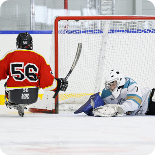 Следж-хоккей